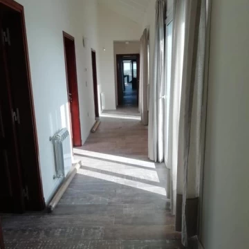 1782505975.jpg