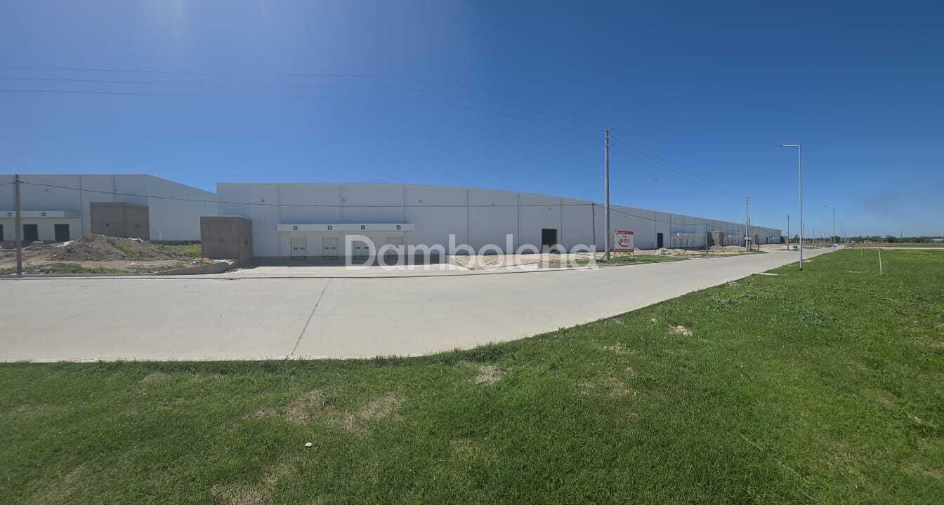 image 65
