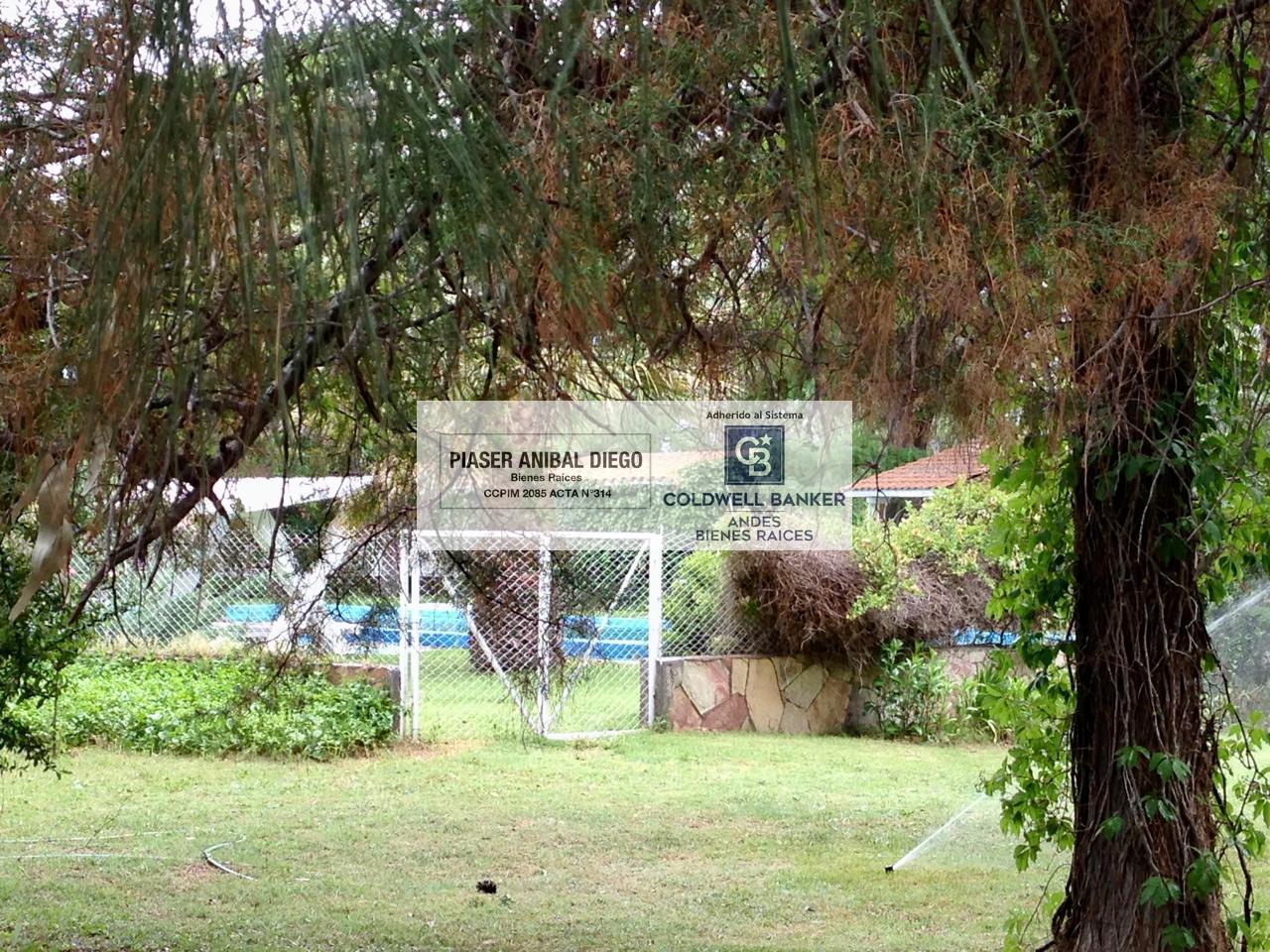 image 30
