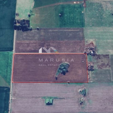 Terreno Campo  en Venta en Suipacha, Resto de la Provincia, Buenos Aires