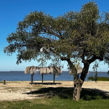 Terreno Lote  en Venta en El Golf, Carmelo, Colonia