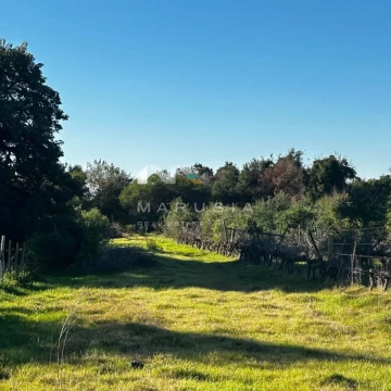 Terreno Emp. Rural  en Venta en Carmelo, Colonia, Uruguay