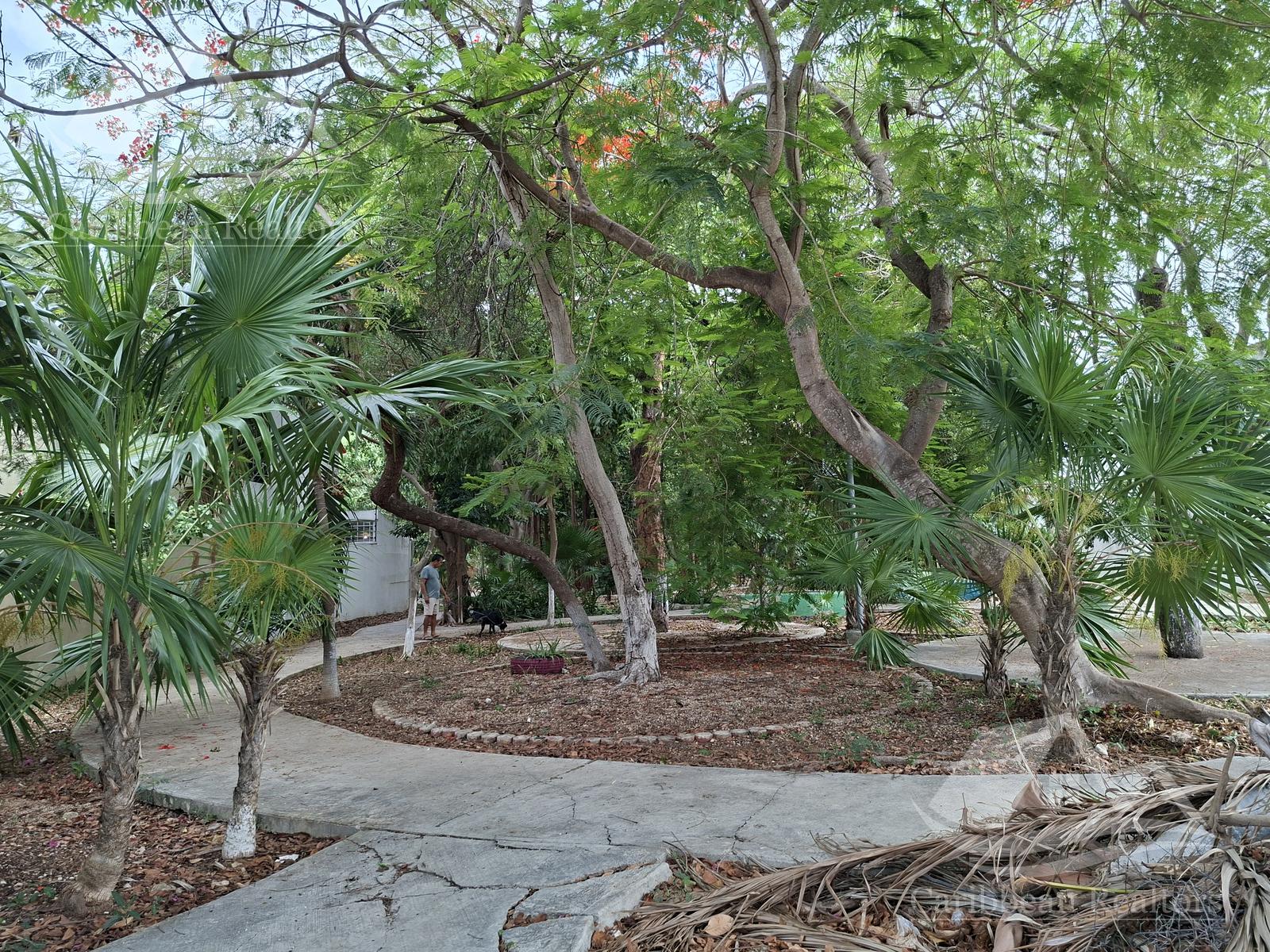 image 17