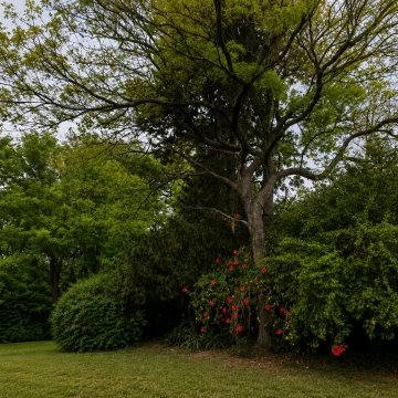 Terreno en San Isidro