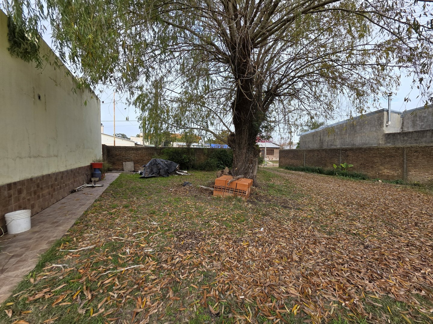 image 33
