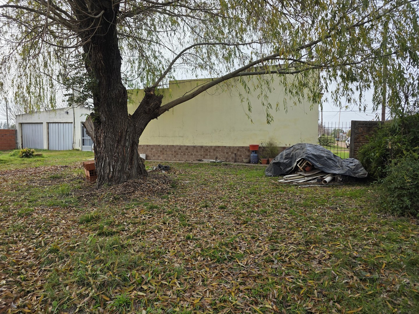 image 37