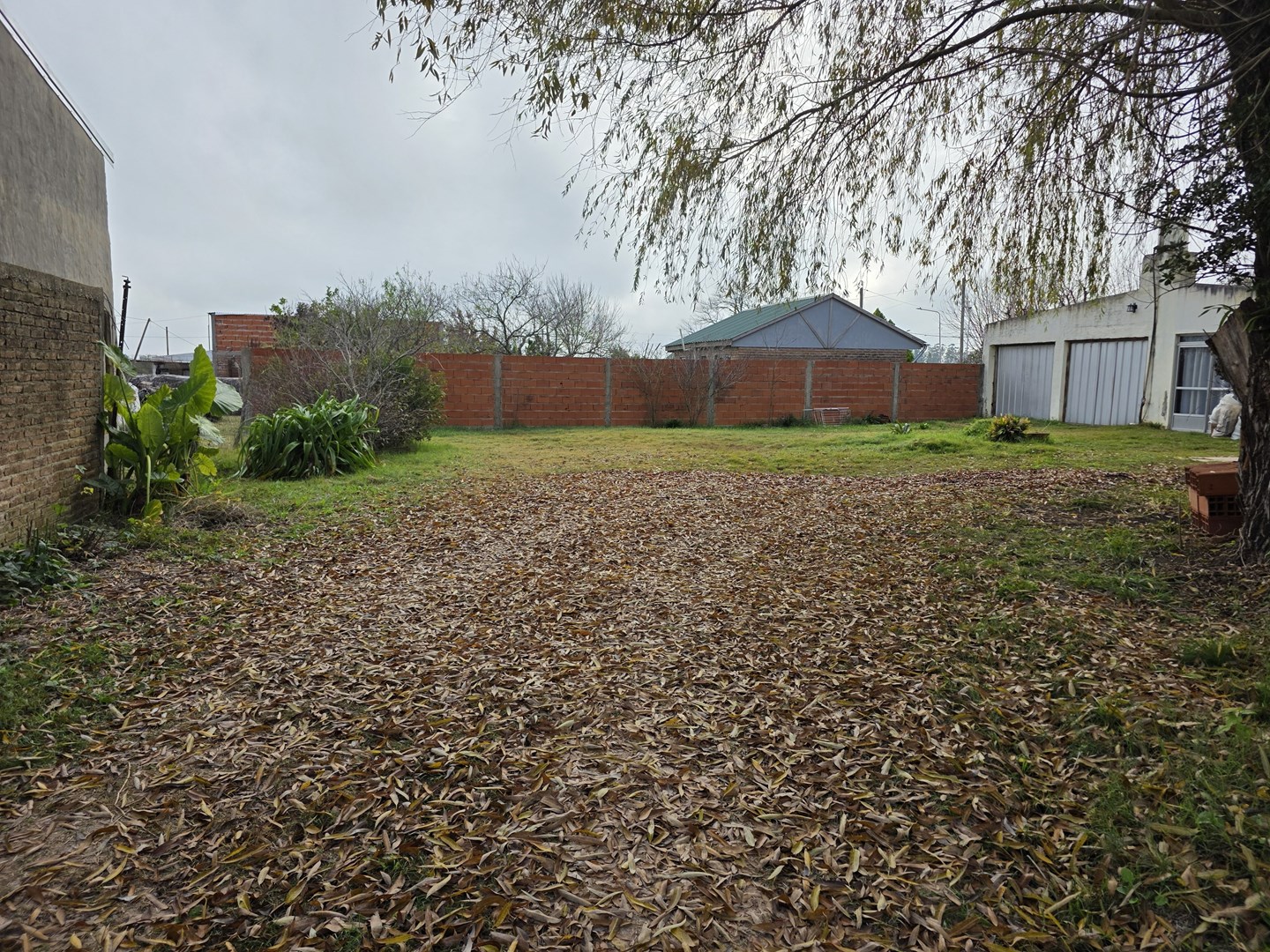 image 38