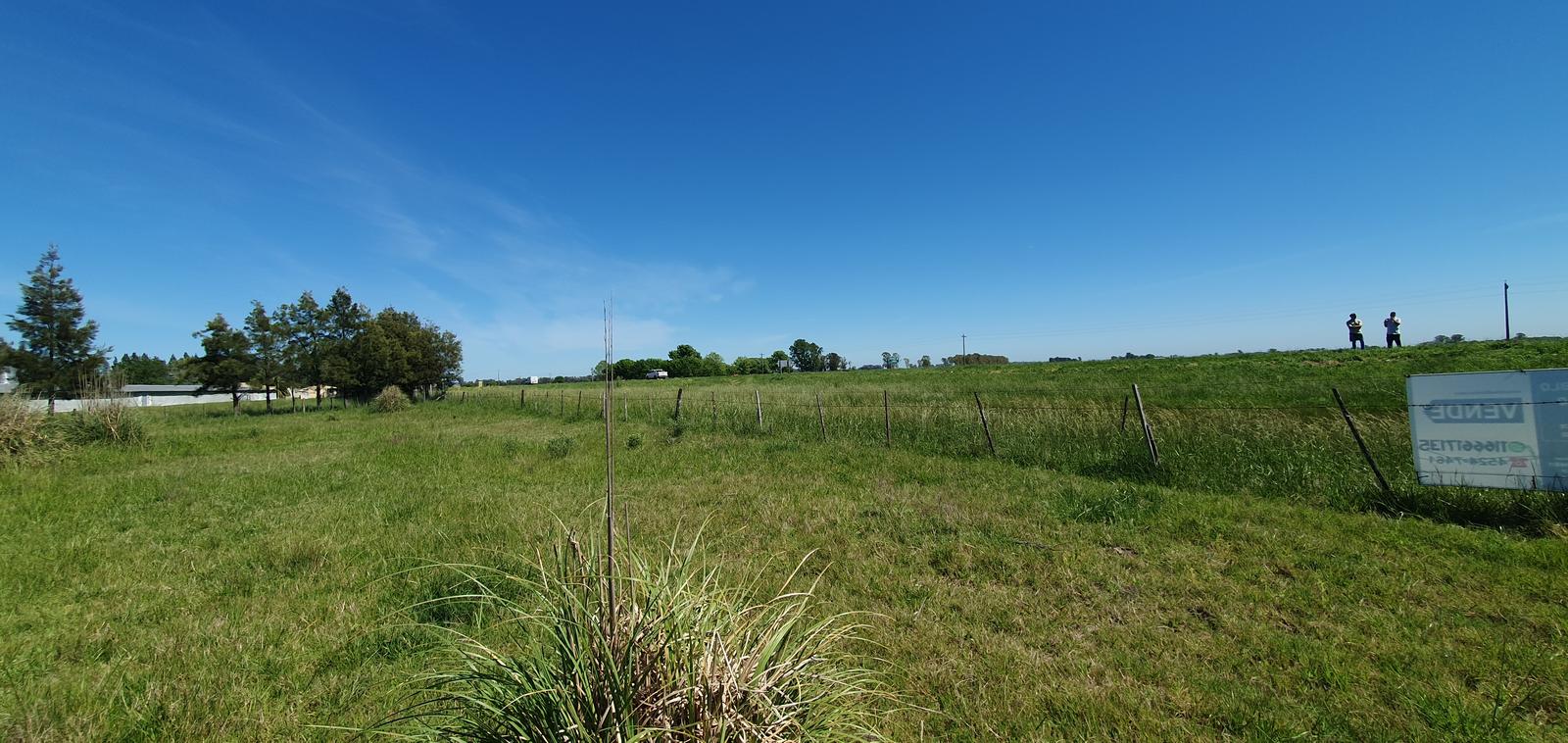 image 14