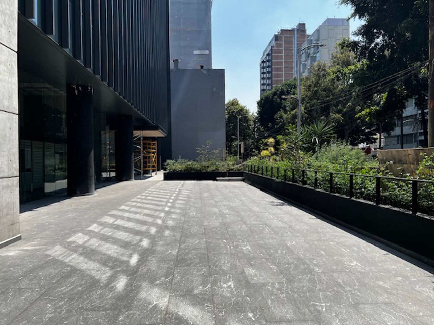 image11.jpeg