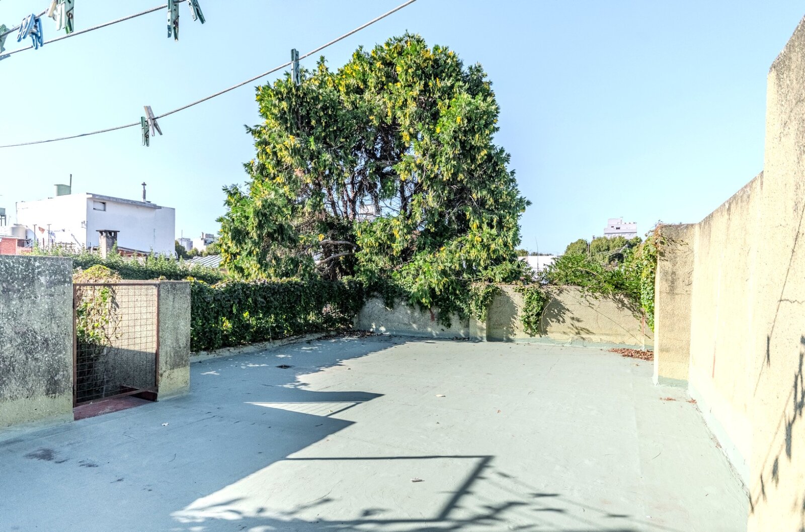 image 29
