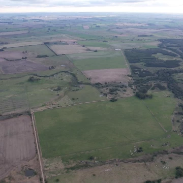 Campo de aptitud agrícola con excelente ubicación en Colonia