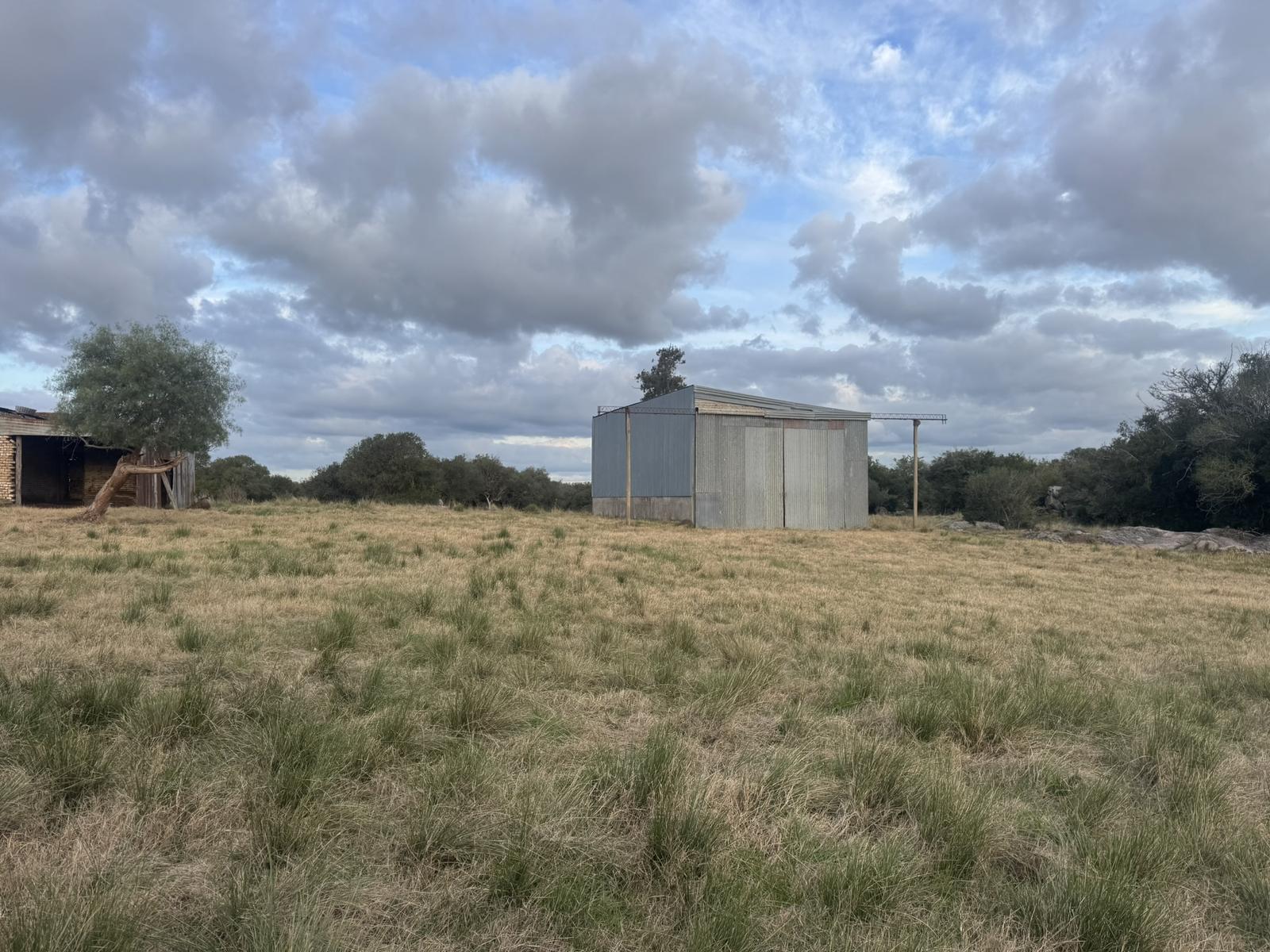 image 13