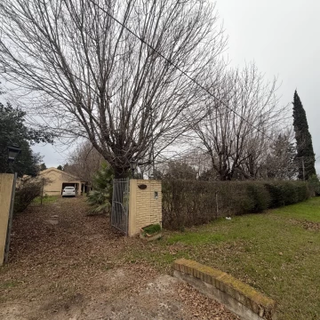 CUMEHUE. Venteveo Nº3796