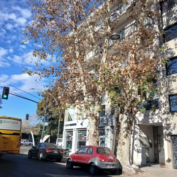 Departamento - Arroyito