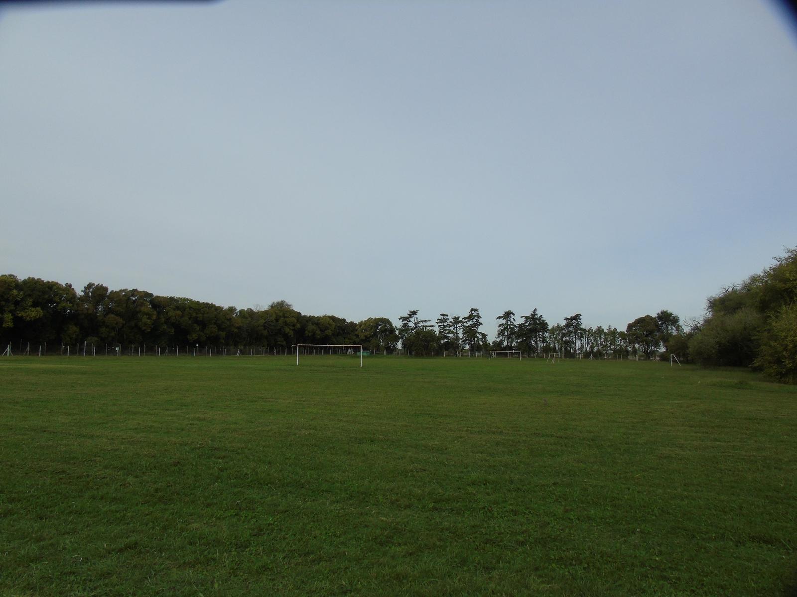 image 36
