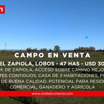 47 has en venta con casa y pileta, Acceso sobre Camino Mejorado en Zapiola, Partido de Lobos