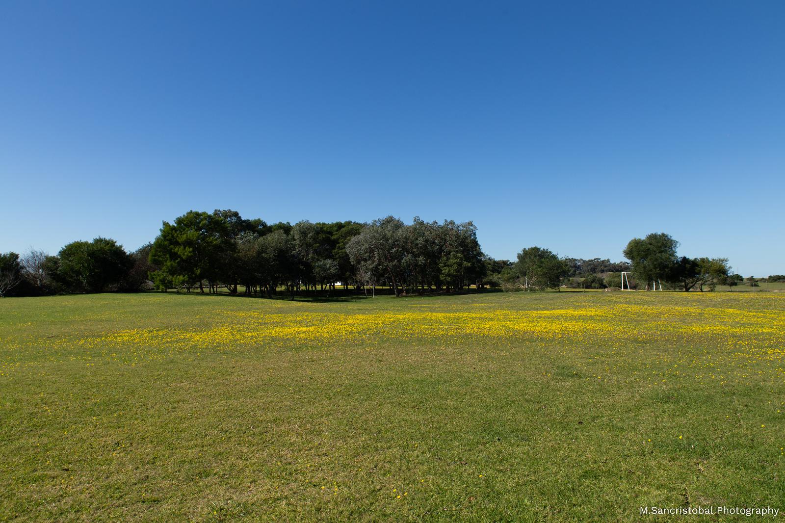 image 36