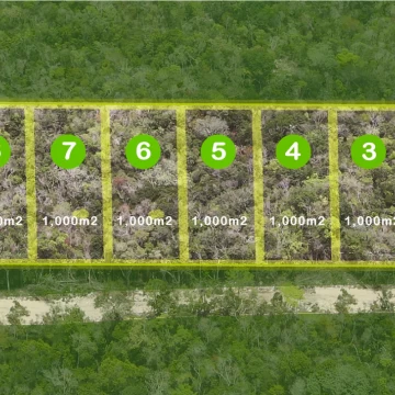 11 Terrenos para residencias en Tulum!