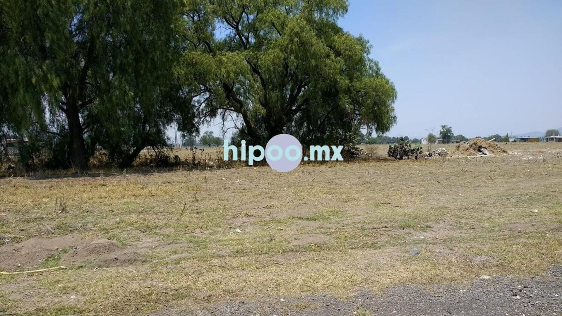 TERRENO ZUMPANGO BERTA BORTONI_8.jpeg