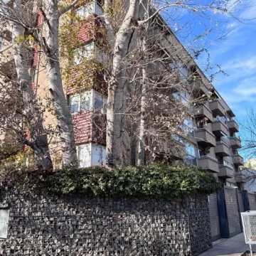 Rodriguez Peña 900