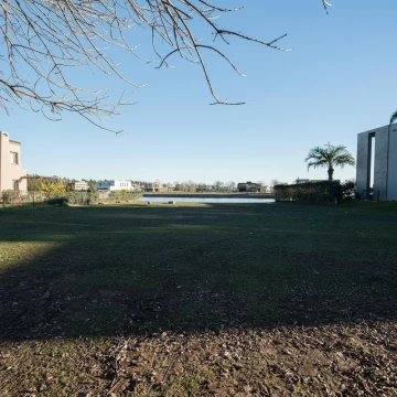 1782815117.jpg