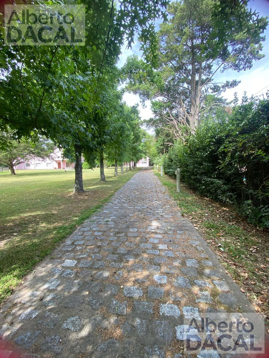 image 31