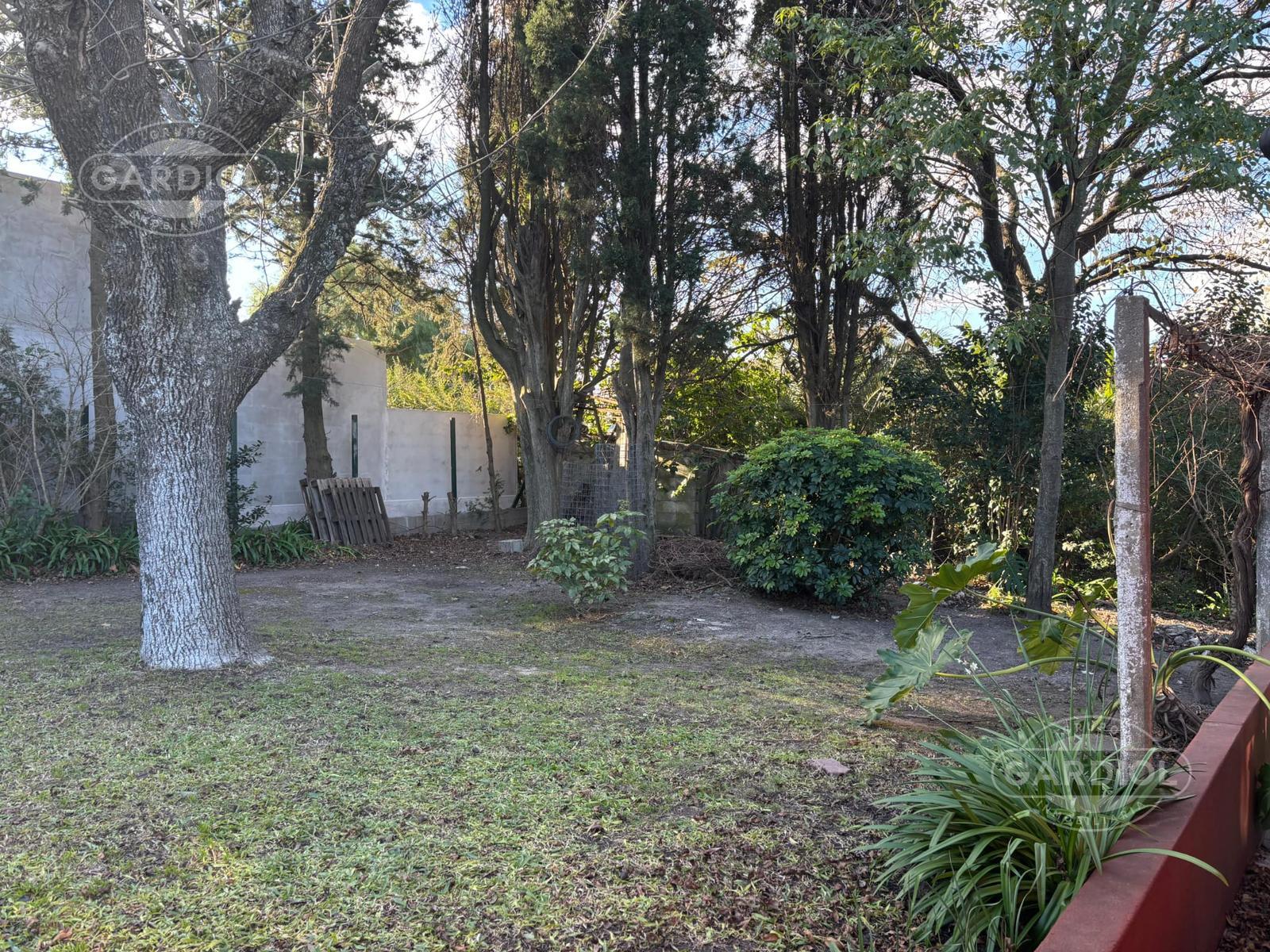 image 30