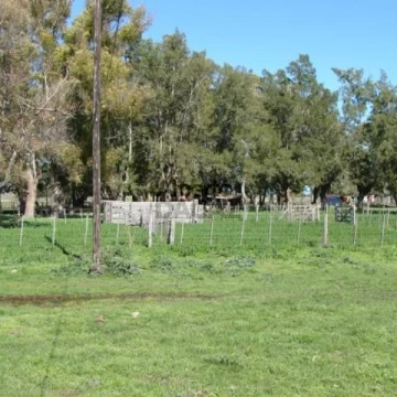 Campo en Venta en Arditi Magdalena - Alberto Dacal Propiedades
