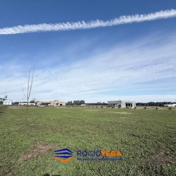 1782833101.jpg
