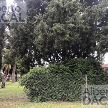 Terreno - Manuel B Gonnet