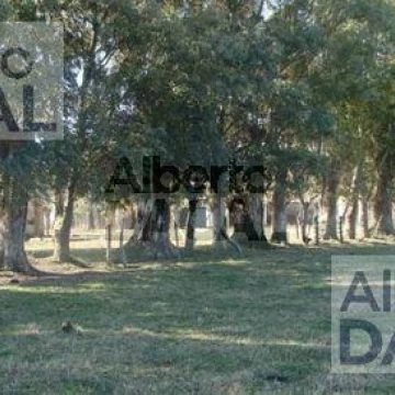 Campo - Magdalena