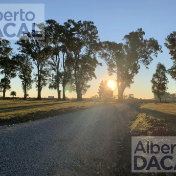 Terreno - La Plata