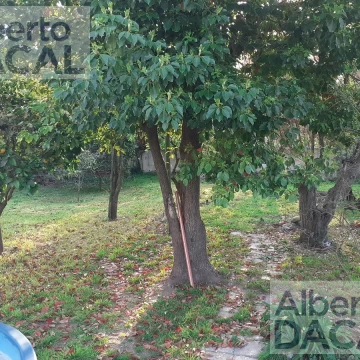 Casa - Villa Elisa