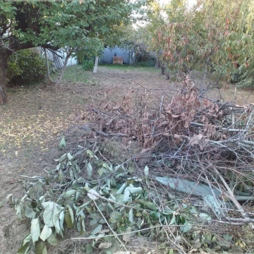 Terreno en Monte
