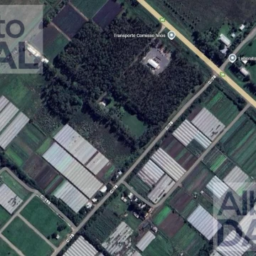 Campo en  venta