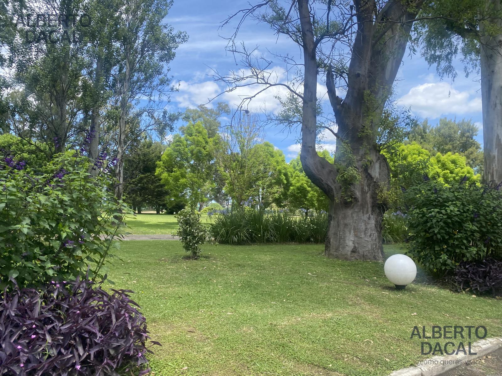 image 35