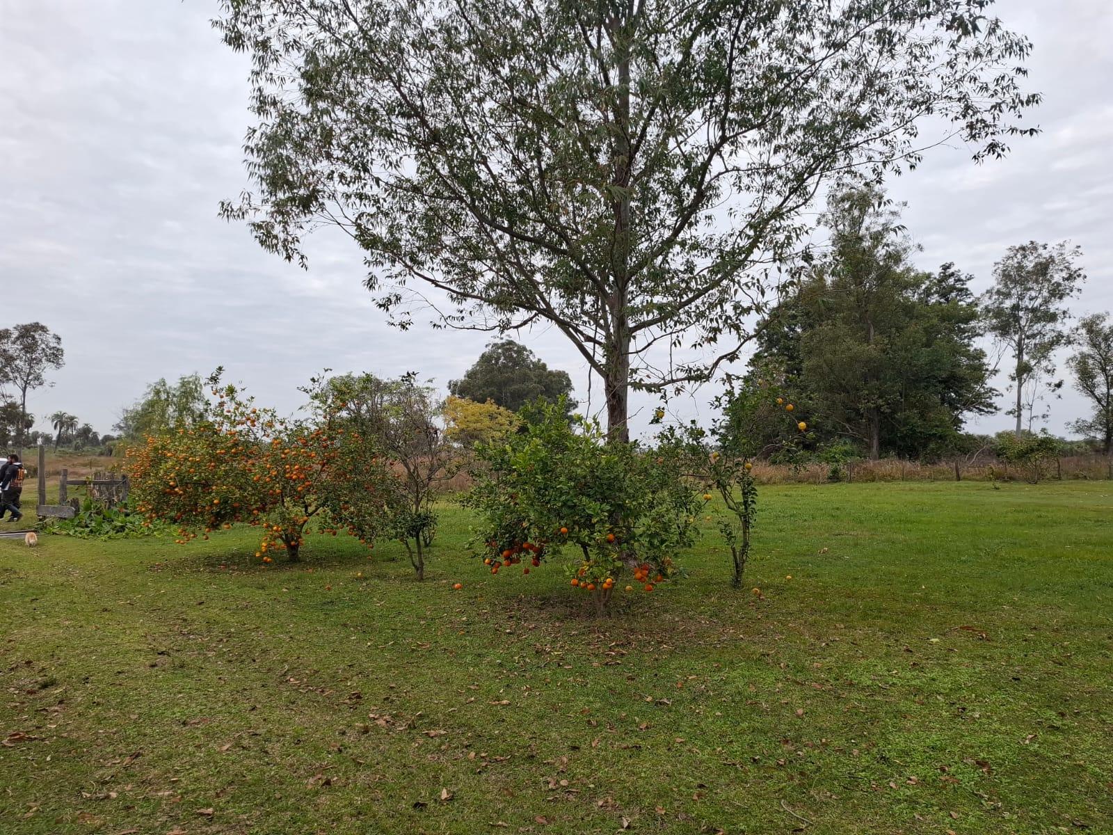 image 14