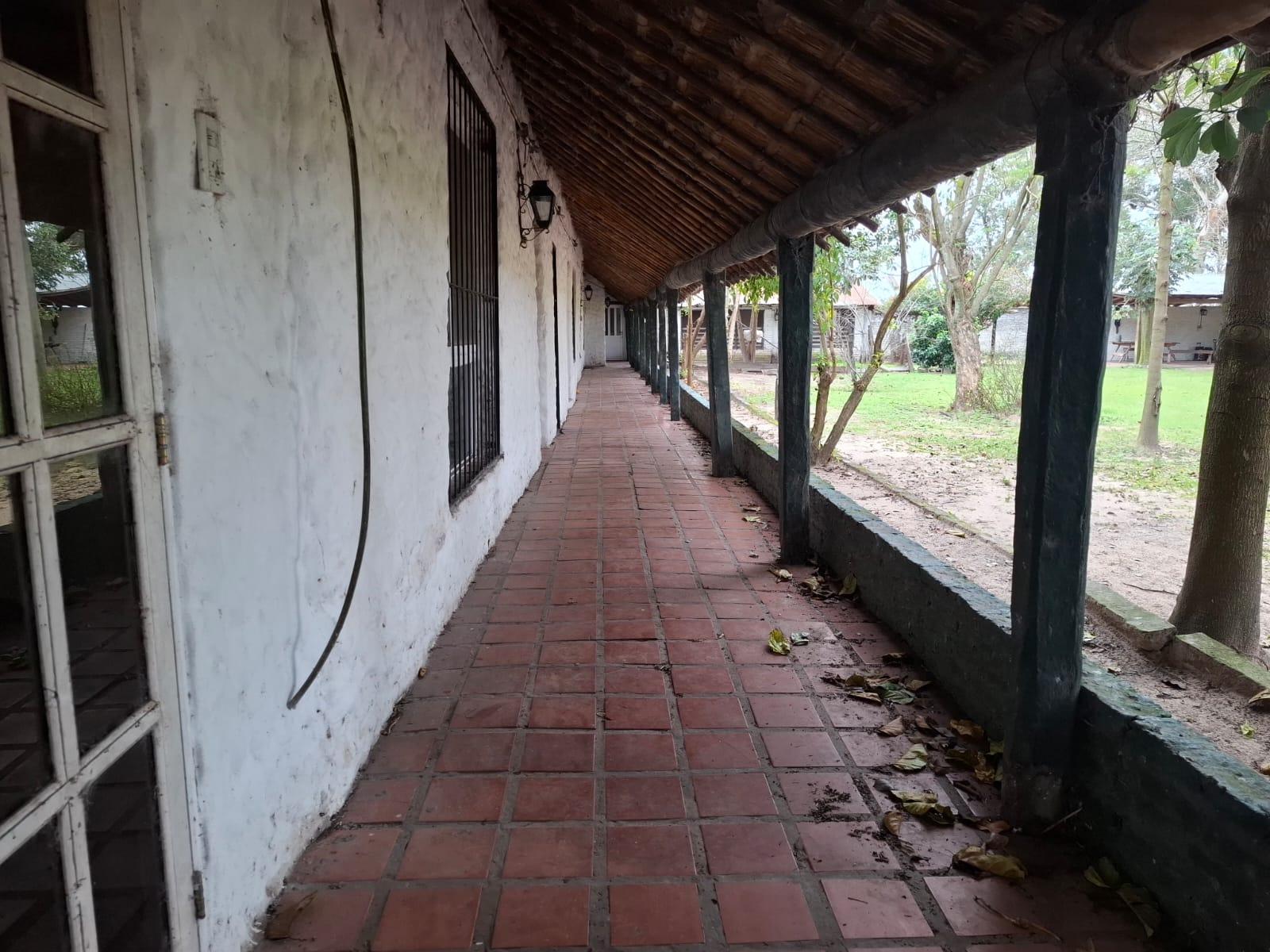 image 33