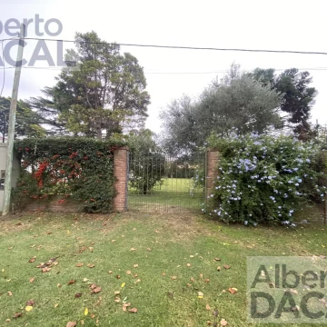 Terreno en  City Bell- Venta- entre caminos totalmente parquizado y forestado con porton de acceso.