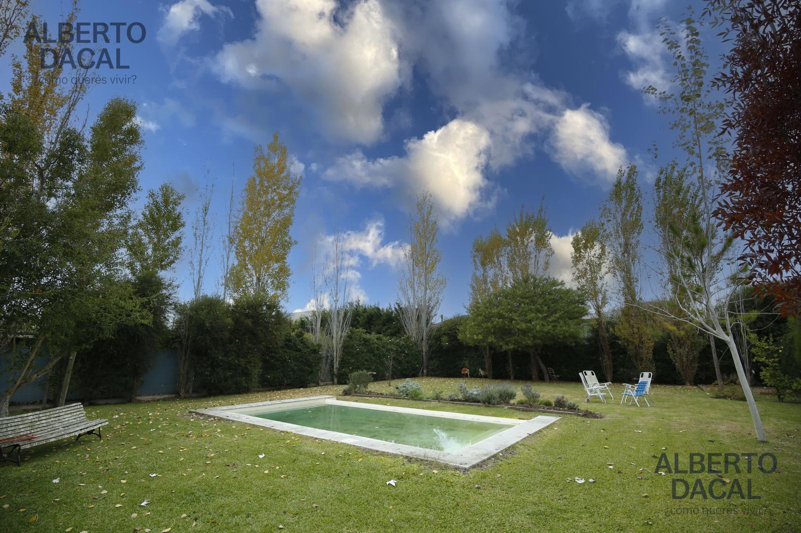 image 33