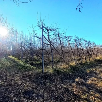 Chacra 1 Hectárea, a 1 km de ruta 7