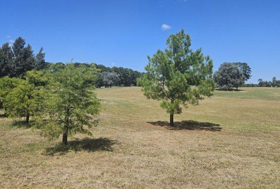 Lote en PINARES Golf & Country Club - 4