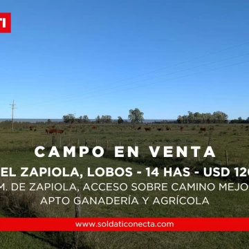 Campo de 14 has. en Cuartel Zapiola apto ganadería y agrícola, Lobos, pcia de Buenos Aires