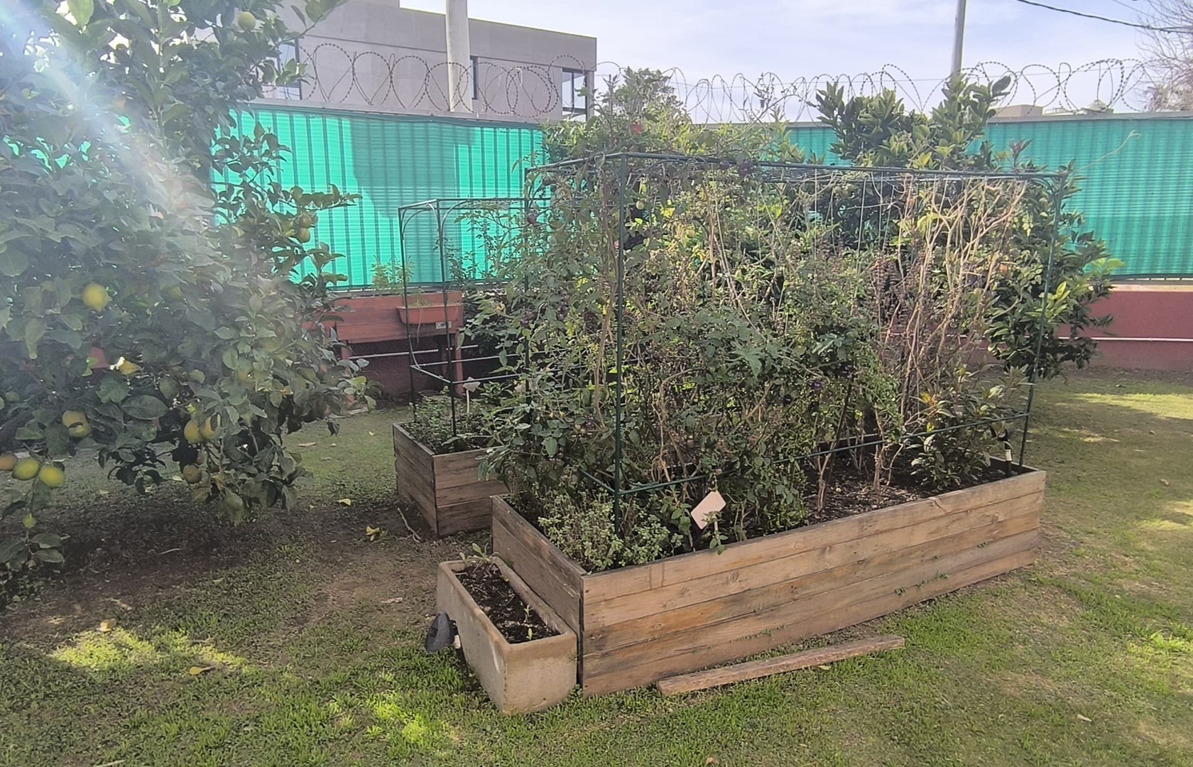 image 21