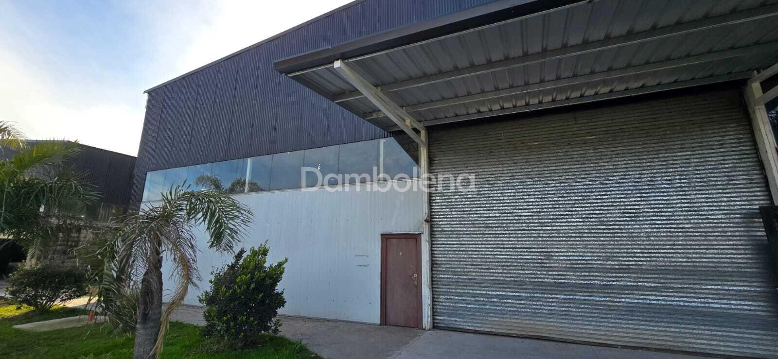 image 6