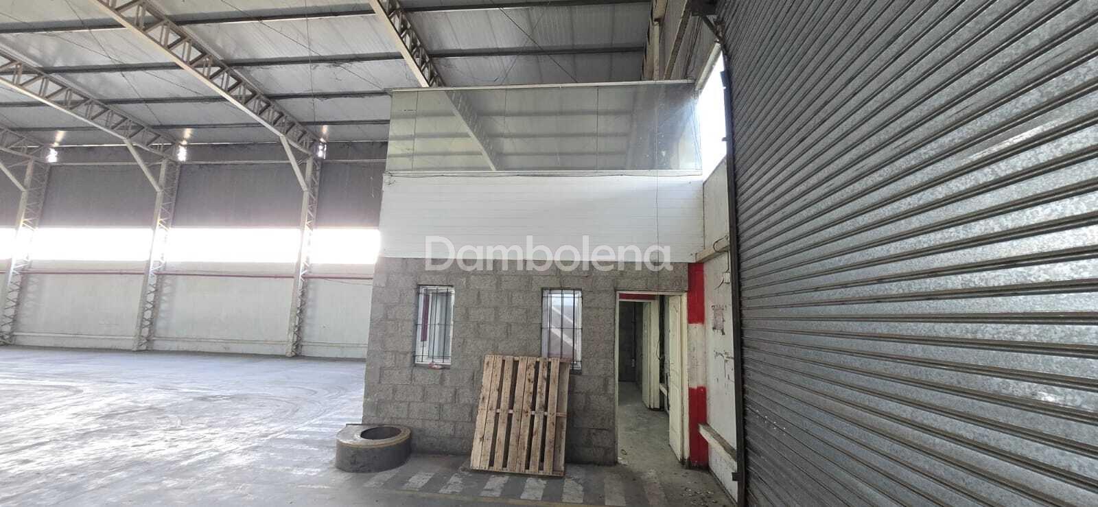 image 21