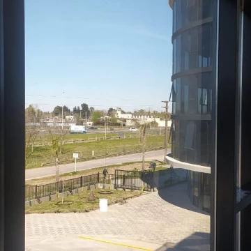 1782912295.jpg