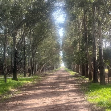 Campo en venta en San Cayetano, Provincia de Buenos Aires