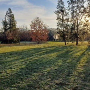 Terreno, Lote al Golf, en Medal Country Club - Pilar