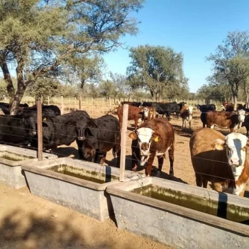 Venta Campo en Lucio V Mansilla